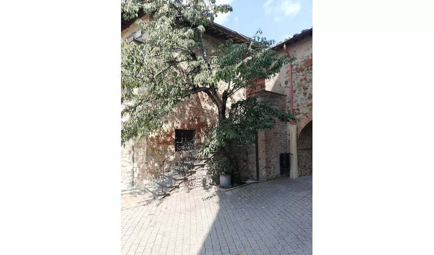 Archäologisches Museum von Murlo – Antiquarium von Poggio Civitate