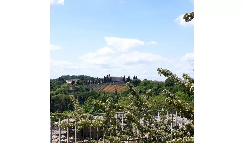 Fortezza di Poggio Imperiale