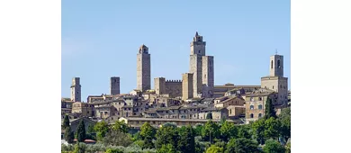 Hôtel de ville, Pinacothèque, Torre Grossa