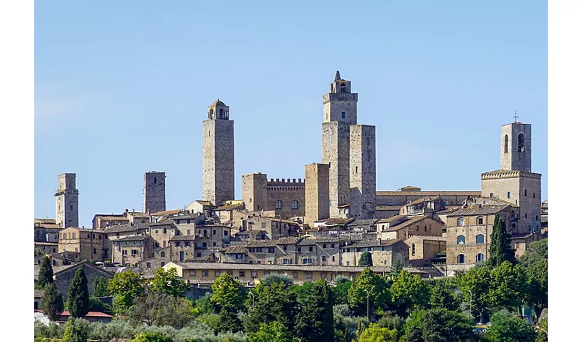 Palazzo Comunale, Pinacoteca, Torre Grossa