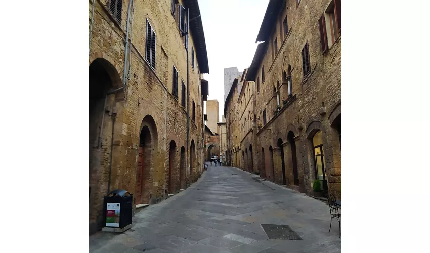 Palazzo Comunale, Pinacoteca, Torre Grossa