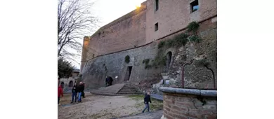 Museo del Tartufo