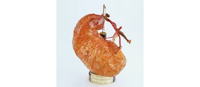 Museo Anatomico Leonetto Comparini