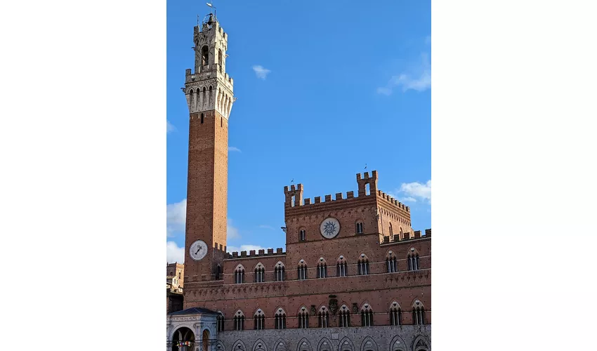Museo Civico