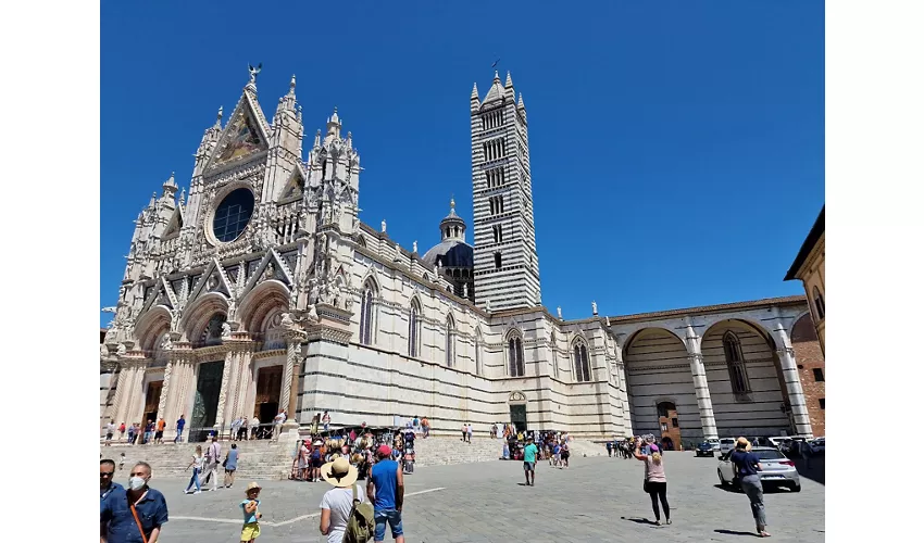 Museo - Opera della Metropolitana