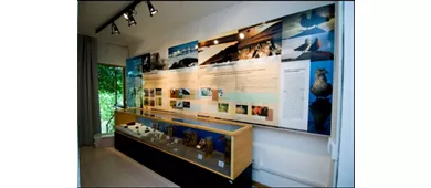 Museo Nazionale dell'Antartide - Sezione di Siena
