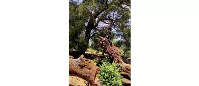 Nuraghe Adoni, Villanova Tulo