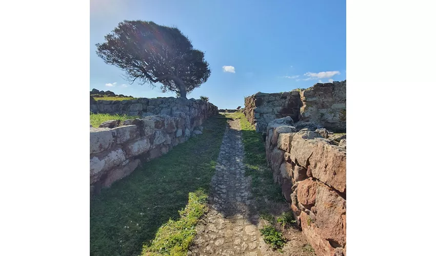 Parco Archeologico Monte Sirai