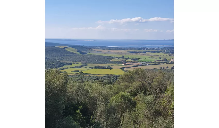 Parco Archeologico Monte Sirai