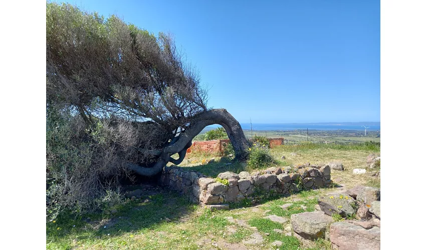 Parco Archeologico Monte Sirai