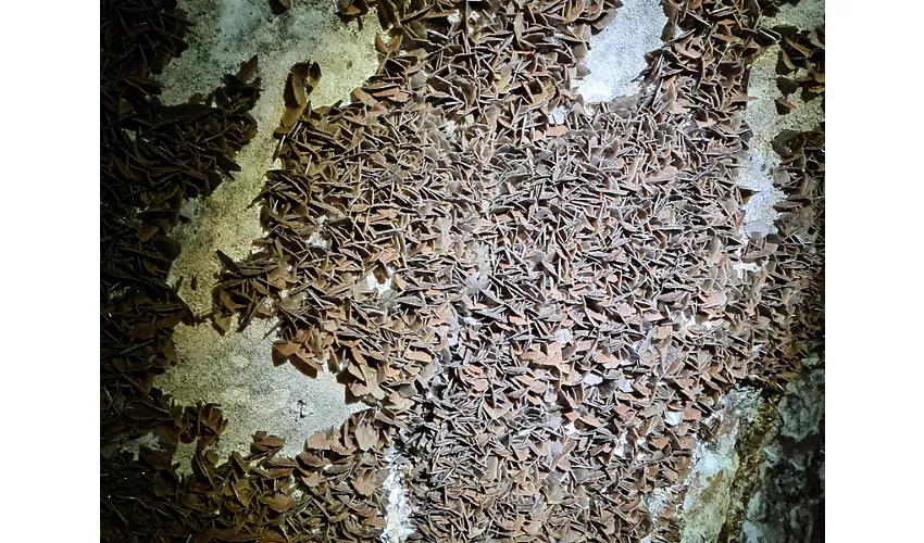 Gruta de Santa Bárbara