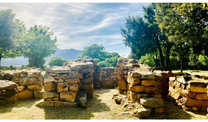 Area Archeologica di Sa Carcaredda