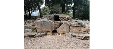 Area Archeologica di Sa Carcaredda