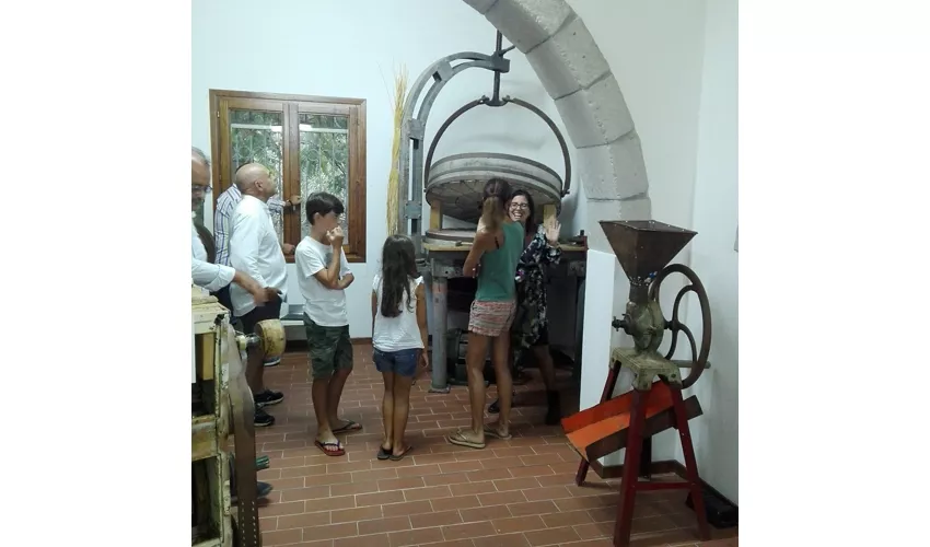 Museo del Molino Galleu