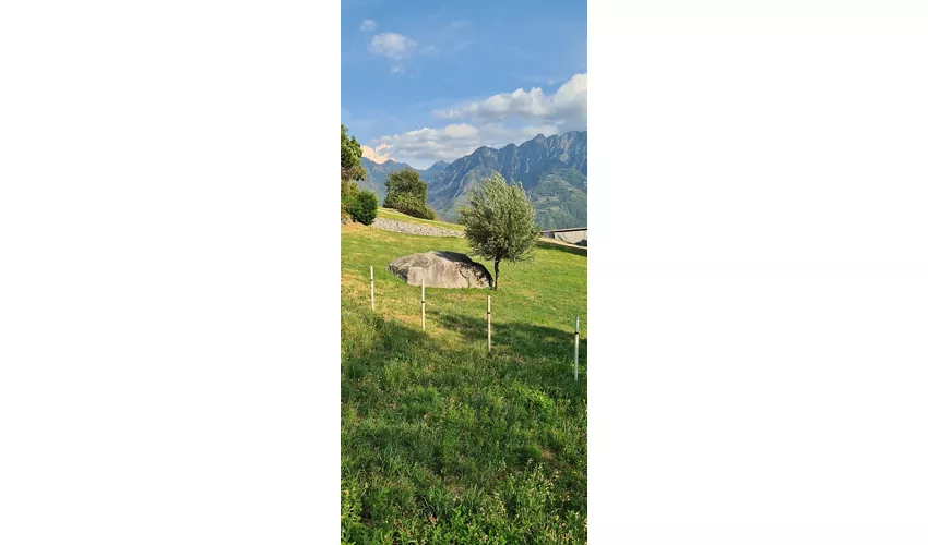 Antico Torchio Cerido