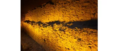 Regionales archäologisches Museum