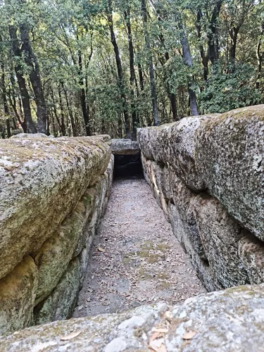 Area archeologica Bosco Selèni