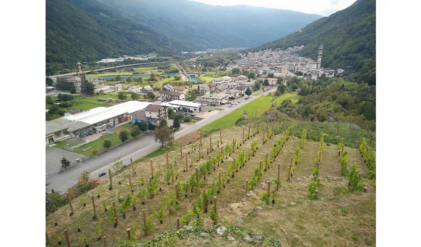 Parque das Gravuras Rupestres. Grosio-Grosotto