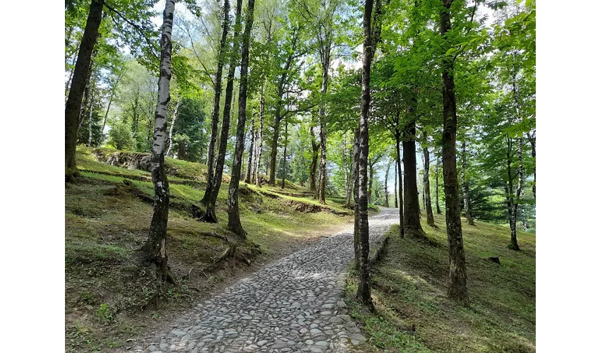 Reserva Natural de Gravuras Rupestres de Ceto, Cimbergo e Paspardo
