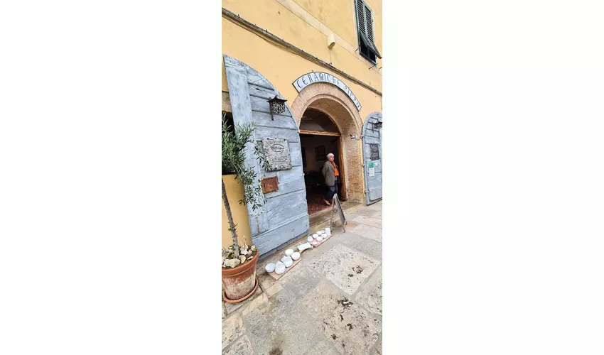 Museo Civico per la Preistoria del Monte Cetona