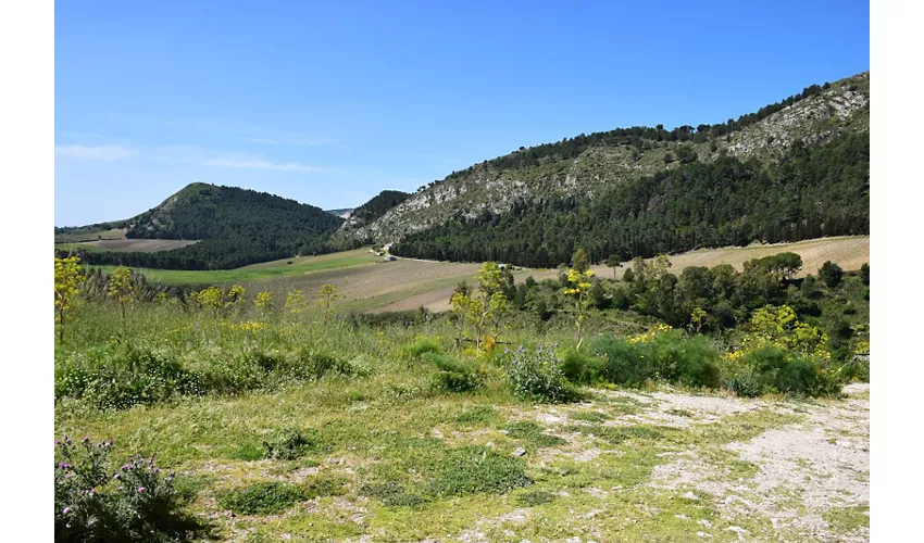 Parc archéologique de Ségeste