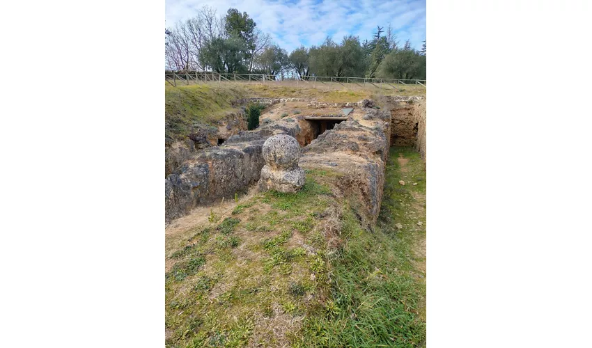 Necropoli delle Pianacce