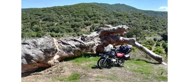 Parco Archeologico di Suni - Domus de Janas Chirisconis