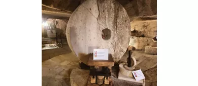 Frantoio Oleario Ipogeo di Palazzo Granafei
