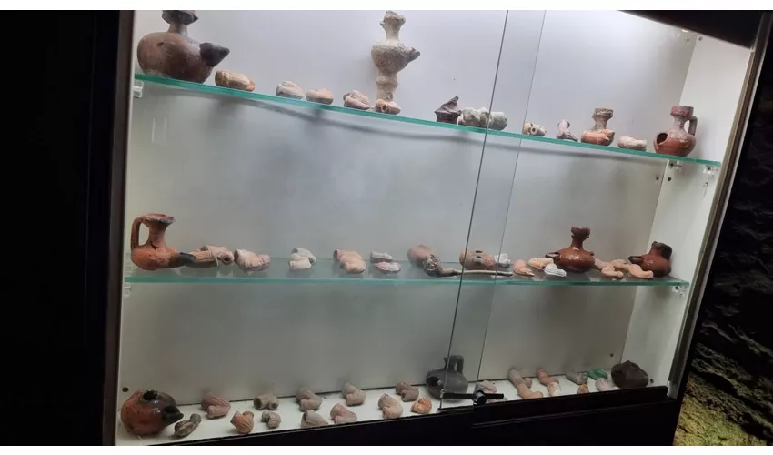 Frantoio Oleario Ipogeo di Palazzo Granafei