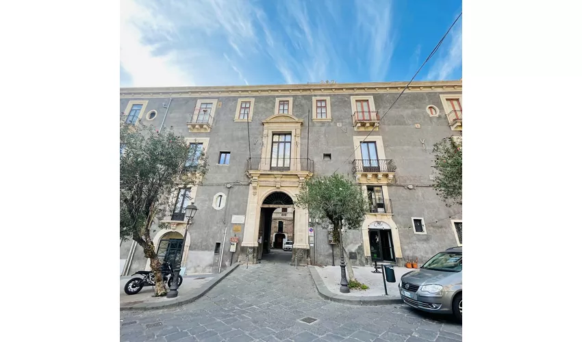 Museo Belliniano