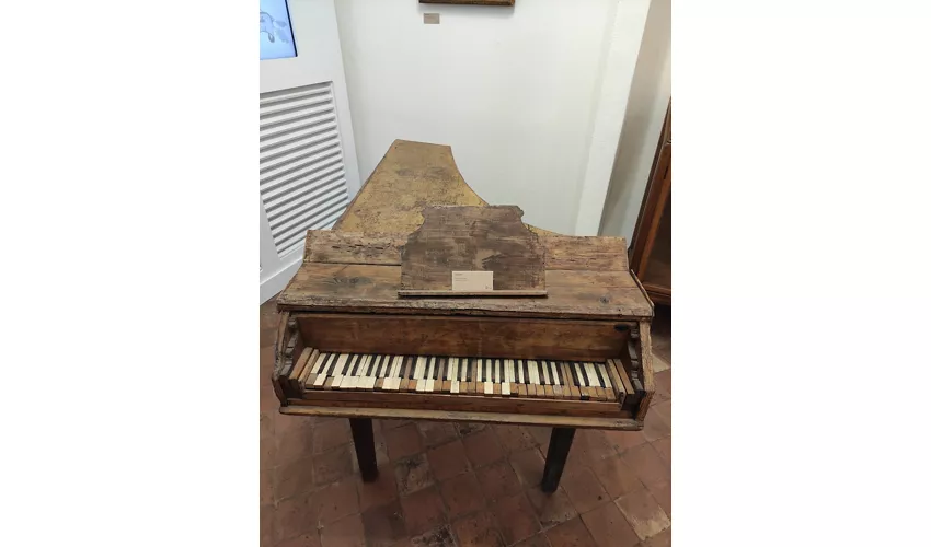 Museo Belliniano