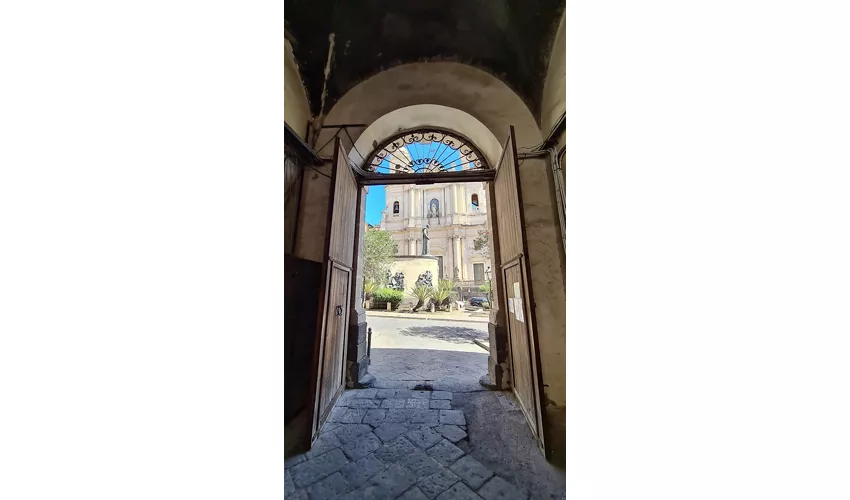 Museo Belliniano