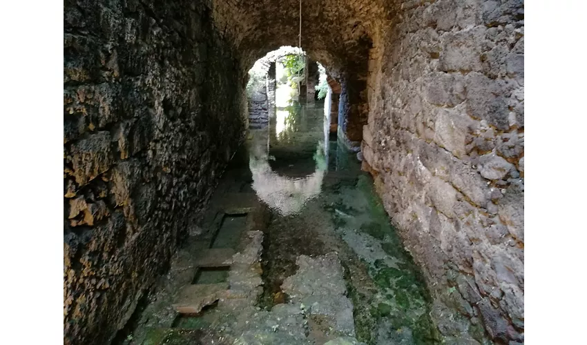 Museo Belliniano