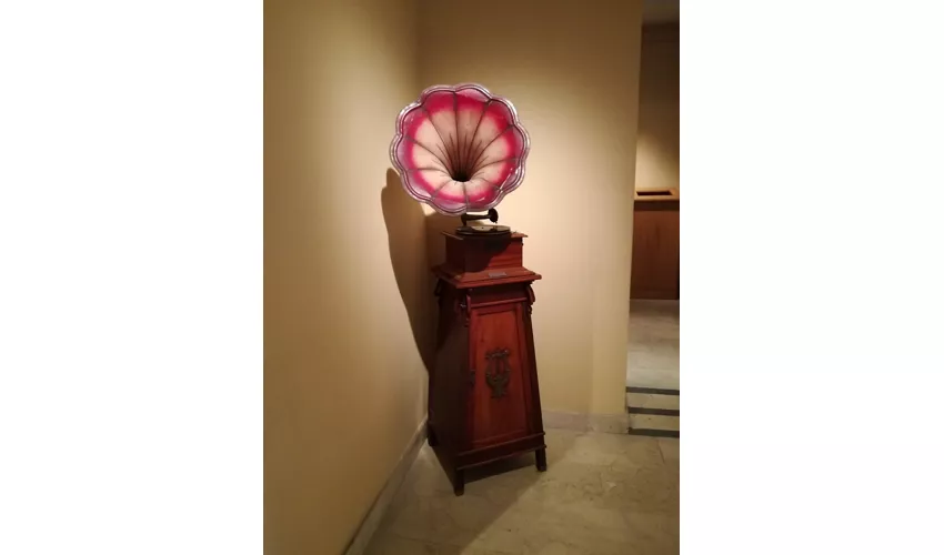 Museo Belliniano