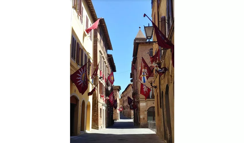 Contrada della Torre