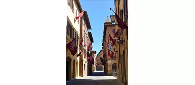 Contrada della Torre