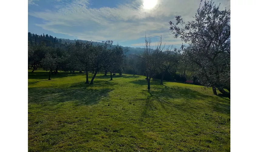 Tomba Etrusca de "La Montagnola"