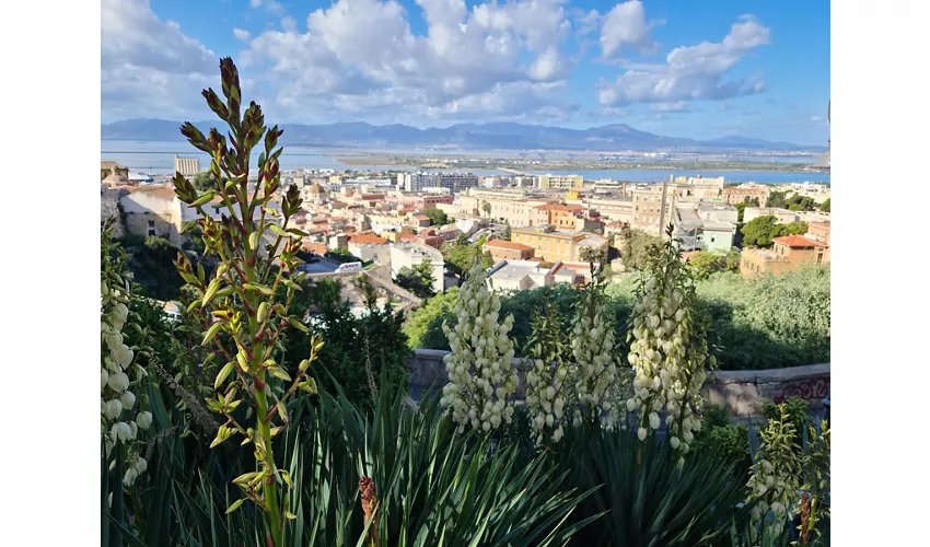 Amphithéâtre romain de Cagliari