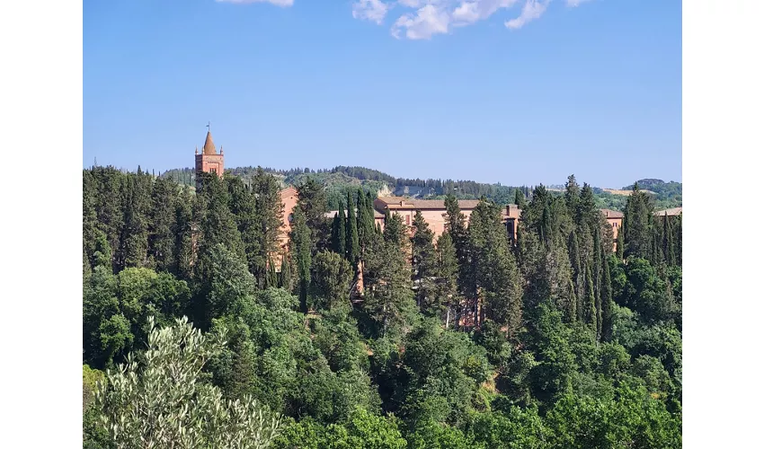 Abbazia di Monte Oliveto Maggiore