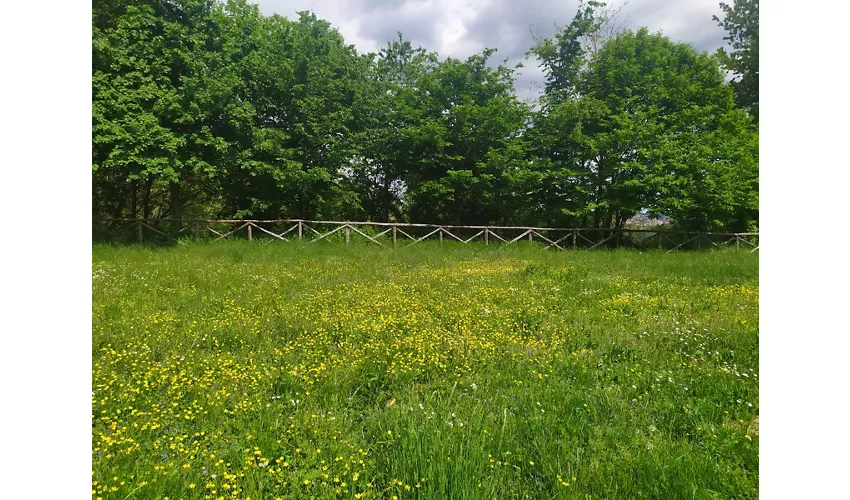 Parc archéologique de Castelseprio