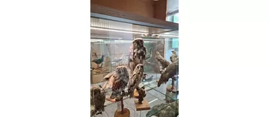 Real Casina di Caccia