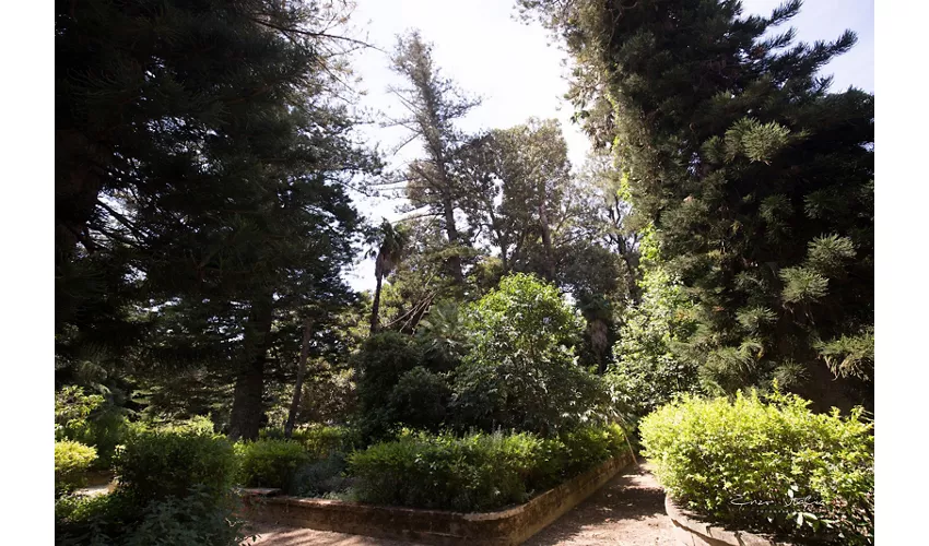 Literaturpark des Gattopardo