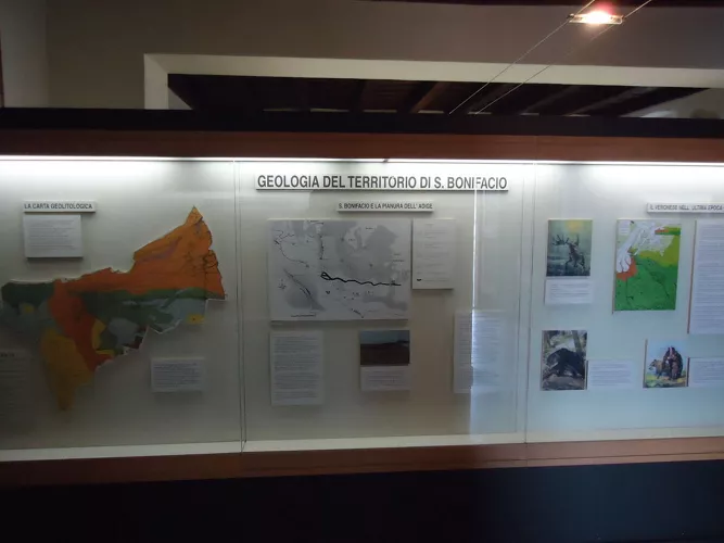 Museo Civico Geopaleontologico “Abate Don Giuseppe Dalla Tomba”