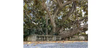 Villa Ormond