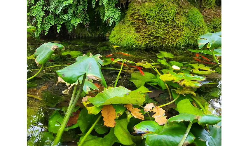 Jardim Botânico
