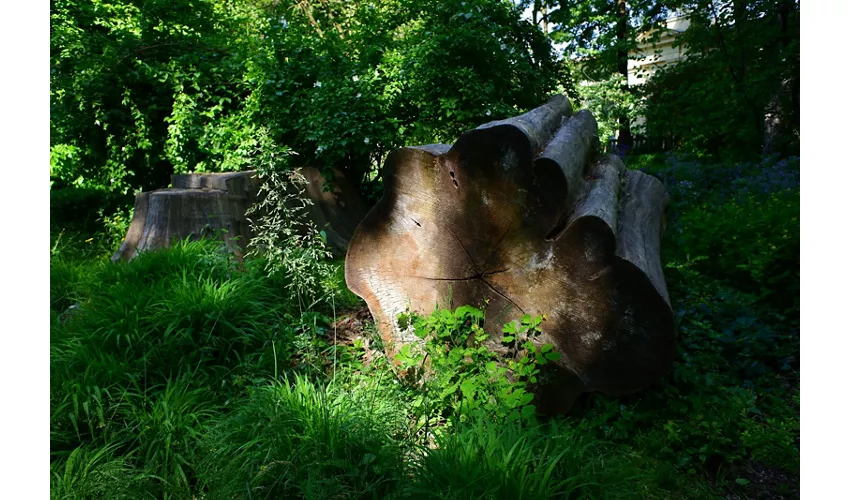 Jardim Botânico
