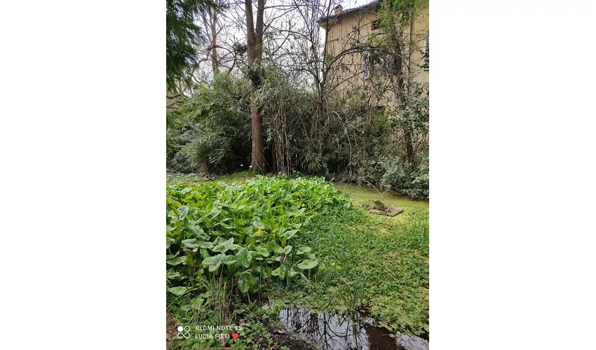 Jardim Botânico