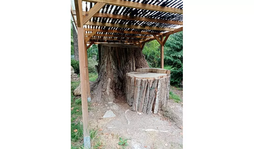 Jardin botanique