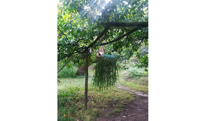 Jardim Botânico