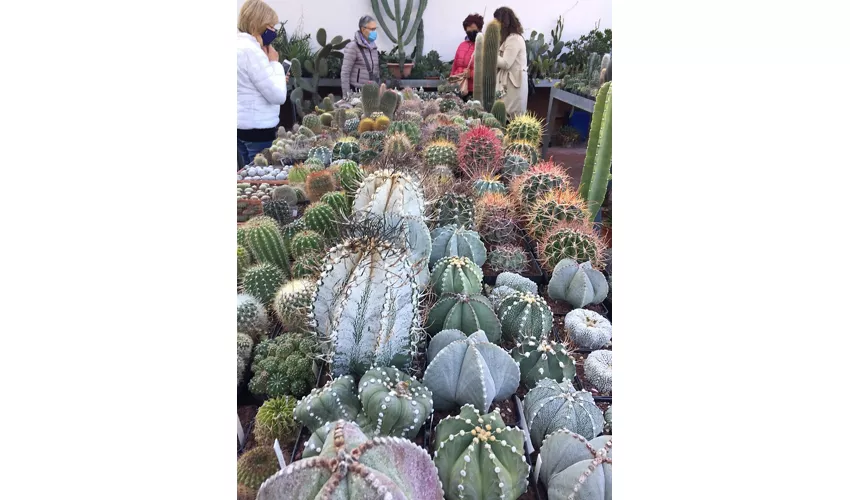Jardim Botânico